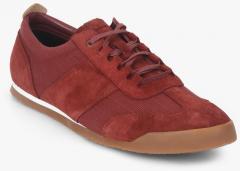 Clarks Maroon Sneakers men