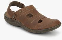 Clarks Woodlake Creek Brown Sandals men