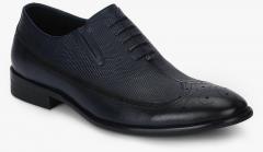 Cobblerz Navy Blue Textured Brogues men