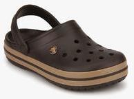 Crocs Crocband Brown Clogs men