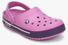 Crocs Crocband Ii.5 Purple Clogs women