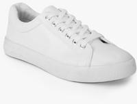 Dorothy Perkins Snake Imogen Casual Sneakers men