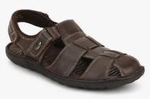 Dr Scholl Bolt Sandal Brown Sandals men