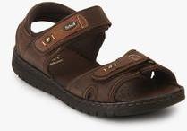 Dr Scholl Sung Brown Sandals men