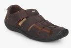 Dr Scholl Track Fisherman Brown Sandals men