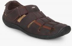 Dr Scholl Track Fisherman Brown Sandals men