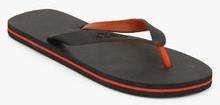 Duke Grey Flip Flops men