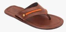 Estd 1977 BROWN FLIP FLOP men