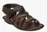 Fentacia Brown Sandals Men