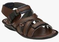 Fentacia Brown Sandals men