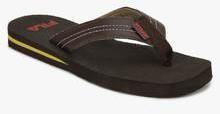 Fila Pamper Brown Flip Flops men