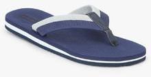 Forca By Lifestyle Navy Blue Flip Flops men