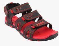 Frestol Red Floaters men