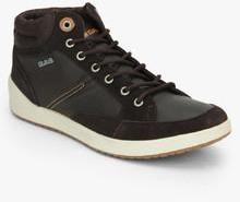 Gas Dolly Brown Sneakers men