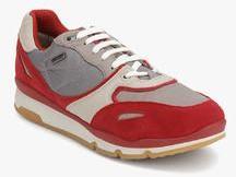 Geox Maroon Running Shoes men