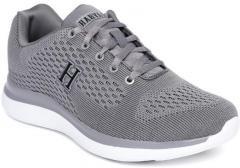 Harvard Grey Mesh Training Shoes men