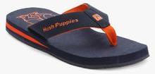 Hush Puppies Blue Flip Flops men