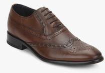 Hush Puppies Brown Oxford Brogue Formal Shoes men