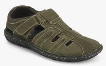 Hush Puppies Harlet Fisherman Olive Sandals men