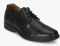 Hush Puppies Hartley Workday Black Derby Brogue Formal Shoes men