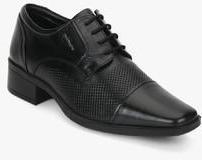 Hush Puppies Hume Oxford Black Formal Shoes men