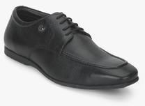 Hush Puppies James Derby Derby Black Formal Shoes men