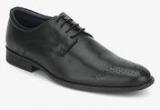 Hush Puppies London Derby Black Formal Shoes men