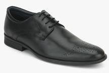 Hush Puppies London Derby Black Formal Shoes men