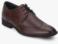 Hush Puppies London Laser Brown Derby Formal Shoes men