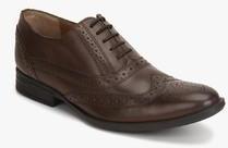 Hush Puppies Pk223 Brown Oxford Brogue Formal Shoes men