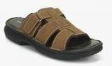 Hush Puppies Rockford Brown Slippers men