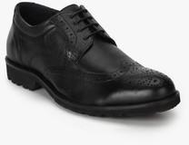 Hush Puppies Star Black Derby Brogue Formal Shoes men