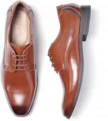 Invictus Tan Solid Derbys men