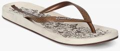 Ipanema Brown Printed Thong Flip Flops women