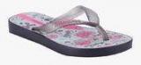 Ipanema Grey Flip Flops boys