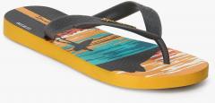 Ipanema Grey Slip On Flip Flops boys