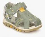 Juniors By Lifestyle Olive Sandals Boys