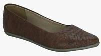 Kielz Brown Belly Shoes women