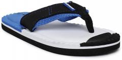 Kittens Black & Blue Colourblocked Thong Flip Flops boys