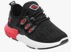 Kittens Black Mesh Running Shoes Boys