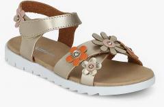 Kittens Copper Sandals girls