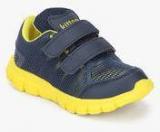 Kittens Navy Blue Running Shoes Boys