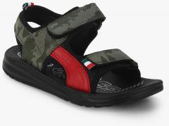 Kittens Olive Sandals boys