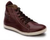 Knotty Derby Brown Sneakers Men