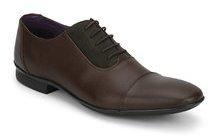 Knotty Derby Regulus Tc Oxford Brown Dress Shoes men