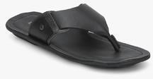 Language Black Slippers men