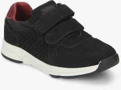 Lee Cooper Black Sneakers boys