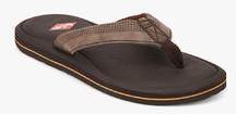 Lee Cooper Brown Flip Flops men