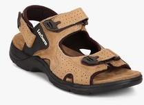 Lee Cooper Camel Sandals men