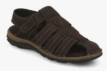 Lee Cooper Coffee Sandals men